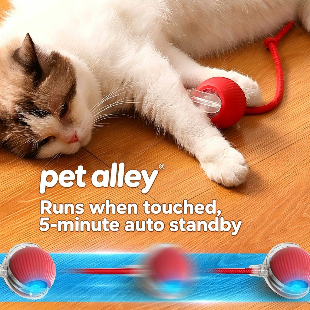 Pet Alley Interactive Smart Cat Toy Ball, Automatic Moving Cat Ball with Rope, USB Rechargeable Self-Rolling Kitten Toy for Bored Indoor Cats, Engaging Cat Exercise Toy for Kitten & Adult Cats