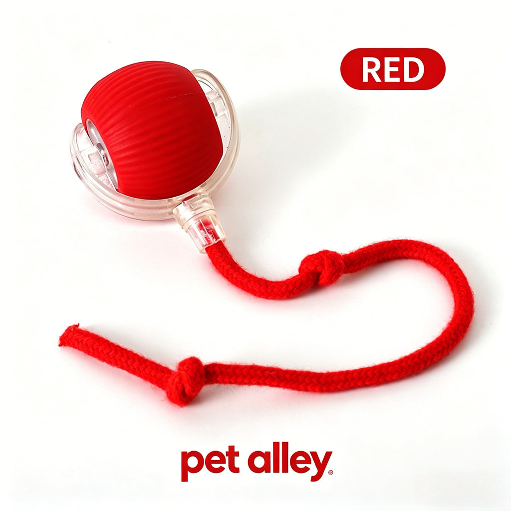 Pet Alley Interactive Smart Cat Toy Ball, Automatic Moving Cat Ball with Rope, USB Rechargeable Self-Rolling Kitten Toy for Bored Indoor Cats, Engaging Cat Exercise Toy for Kitten & Adult Cats