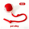Pet Alley Interactive Smart Cat Toy Ball, Automatic Moving Cat Ball with Rope, USB Rechargeable Self-Rolling Kitten Toy for Bored Indoor Cats, Engaging Cat Exercise Toy for Kitten & Adult Cats