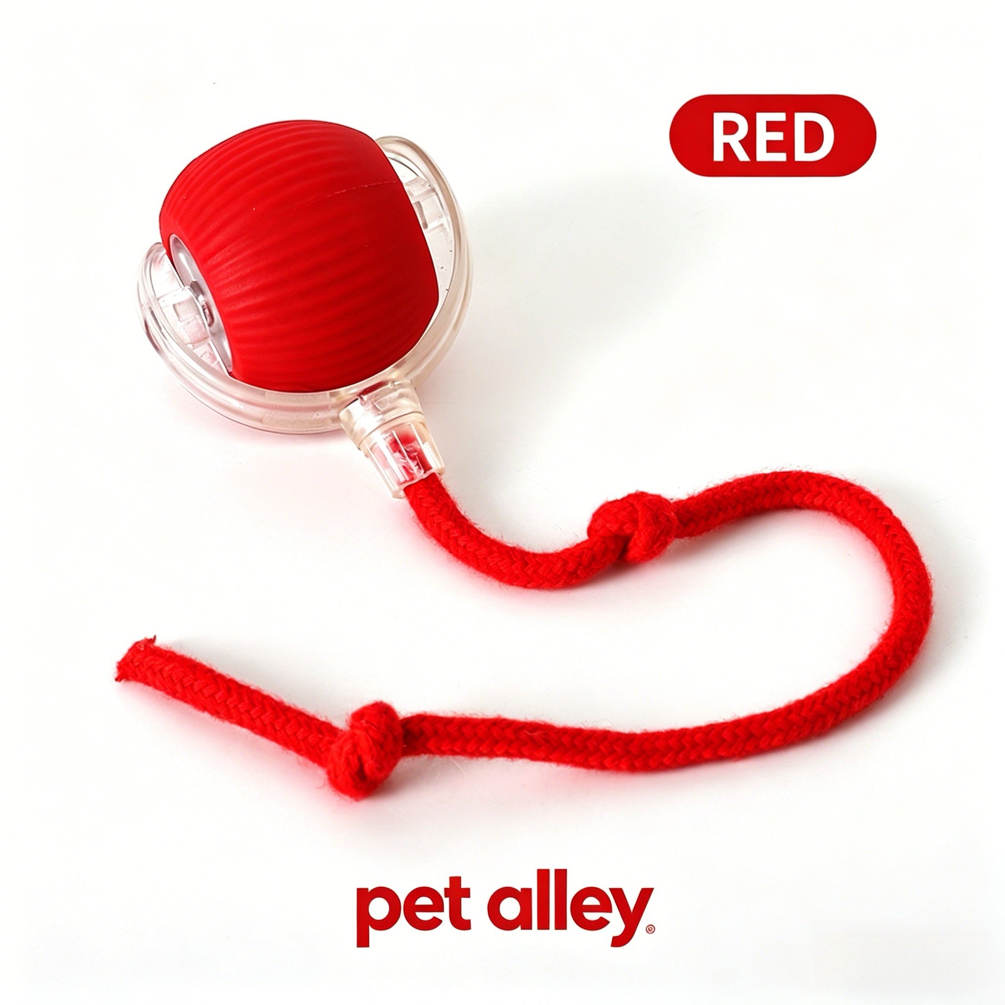 Pet Alley Interactive Smart Cat Toy Ball, Automatic Moving Cat Ball with Rope, USB Rechargeable Self-Rolling Kitten Toy for Bored Indoor Cats, Engaging Cat Exercise Toy for Kitten & Adult Cats